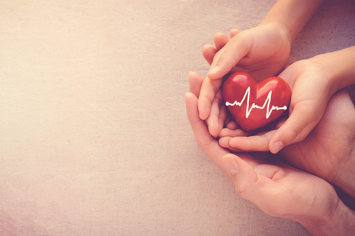 A person holding a heart with an ekg line on it.